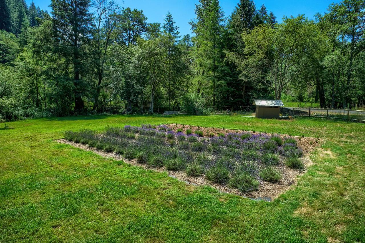 Angels Rest B&B Lavender Farm Skamania Kültér fotó